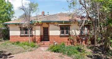 Auction results 1 - 7 December 2025