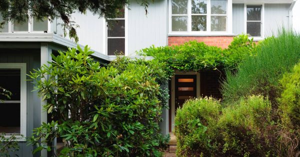 Auction results 8 - 14 December 2025