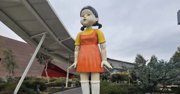 Experience The Korean Wave on the neon streets of Seoul