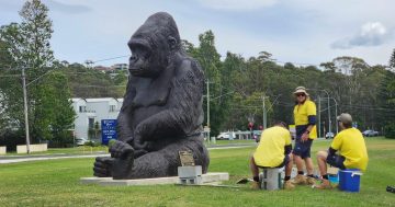 Art or eyesore? Batemans Bay's new 'big thing' has critics going ape