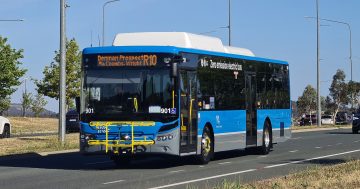 The 'blatant lie' is over - Canberra's long-promised 106th electric bus arrives