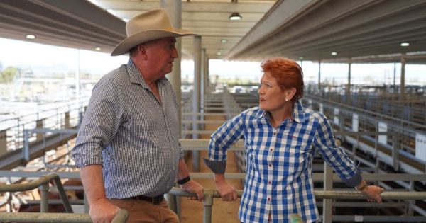 Barnaby Joyce joins One Nation with an eye on the Senate