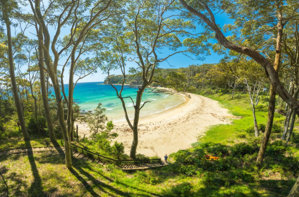 Circuit Beach, pictured from within the lush bush behind the sand, looking out towards the aquamarine waters.