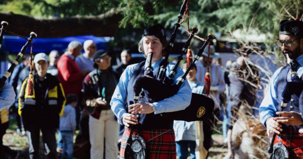 Things to do in Canberra this week (12 - 18 December)