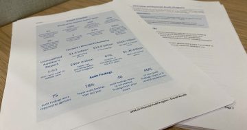 ACT Government agencies' IT systems not up to scratch to reduce risk of cyberattacks, fraud: report