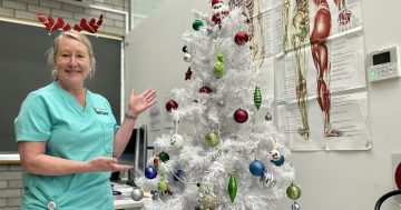 The top cases presenting to Canberra's medical centres on Christmas Day