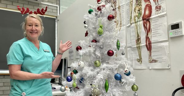 The top cases presenting to Canberra's medical centres on Christmas Day