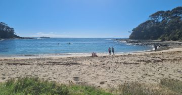 Search resumes for man missing in South Coast waters