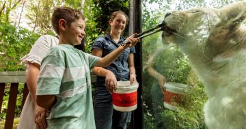 Want more than a classic zoo visit? Go behind the scenes, where every day is different