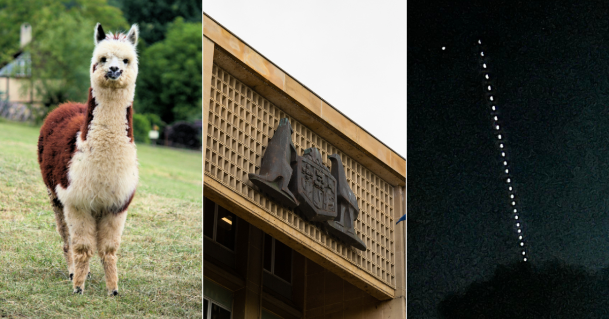 QUIZ: What’s the super rate for public servants? Plus 9 other questions | Region Canberra QUIZ: What’s the super rate for public servants? Plus 9 other questions | Region Canberra