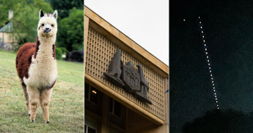 QUIZ: What's the super rate for public servants? Plus 9 other questions