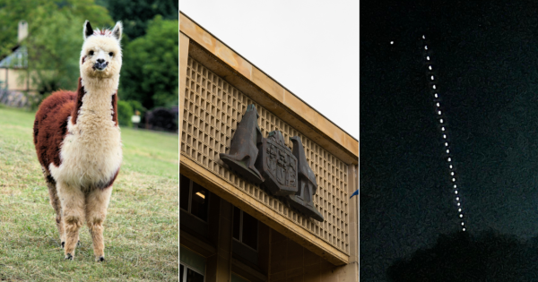 QUIZ: What's the super rate for public servants? Plus 9 other questions