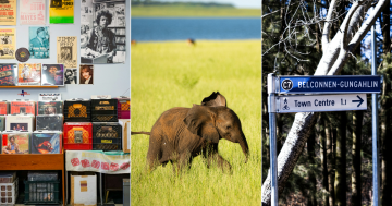 QUIZ: Which animals are banned from Canberra circuses? Plus 9 other questions