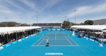 Things to do in Canberra this fortnight (26 December to 8 January)