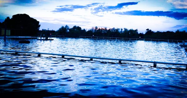 Where gold once glowed, water now shimmers in Barmedman