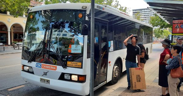 More buses urged to replace interrupted light rail services as commuters left stranded