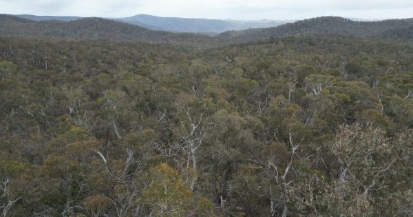 Protection 'at scale' as more than 2000 hectares joins national parks