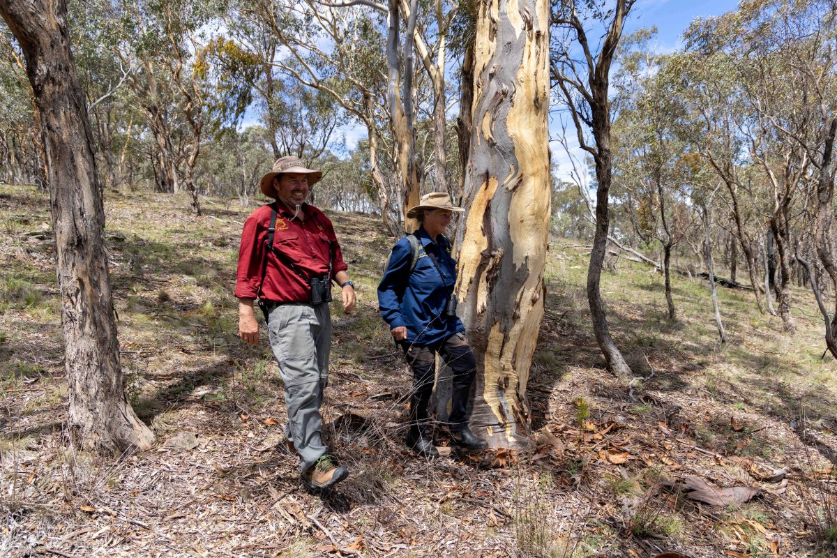 two people walking in the bush