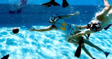 'The greatest sport you've never played' is preparing to 'basically die' in Canberra