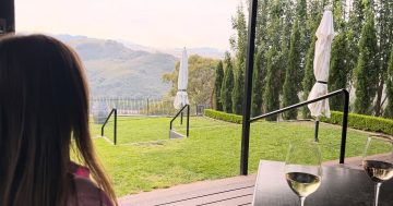 Valentine's Day at Brindabella Hills Winery