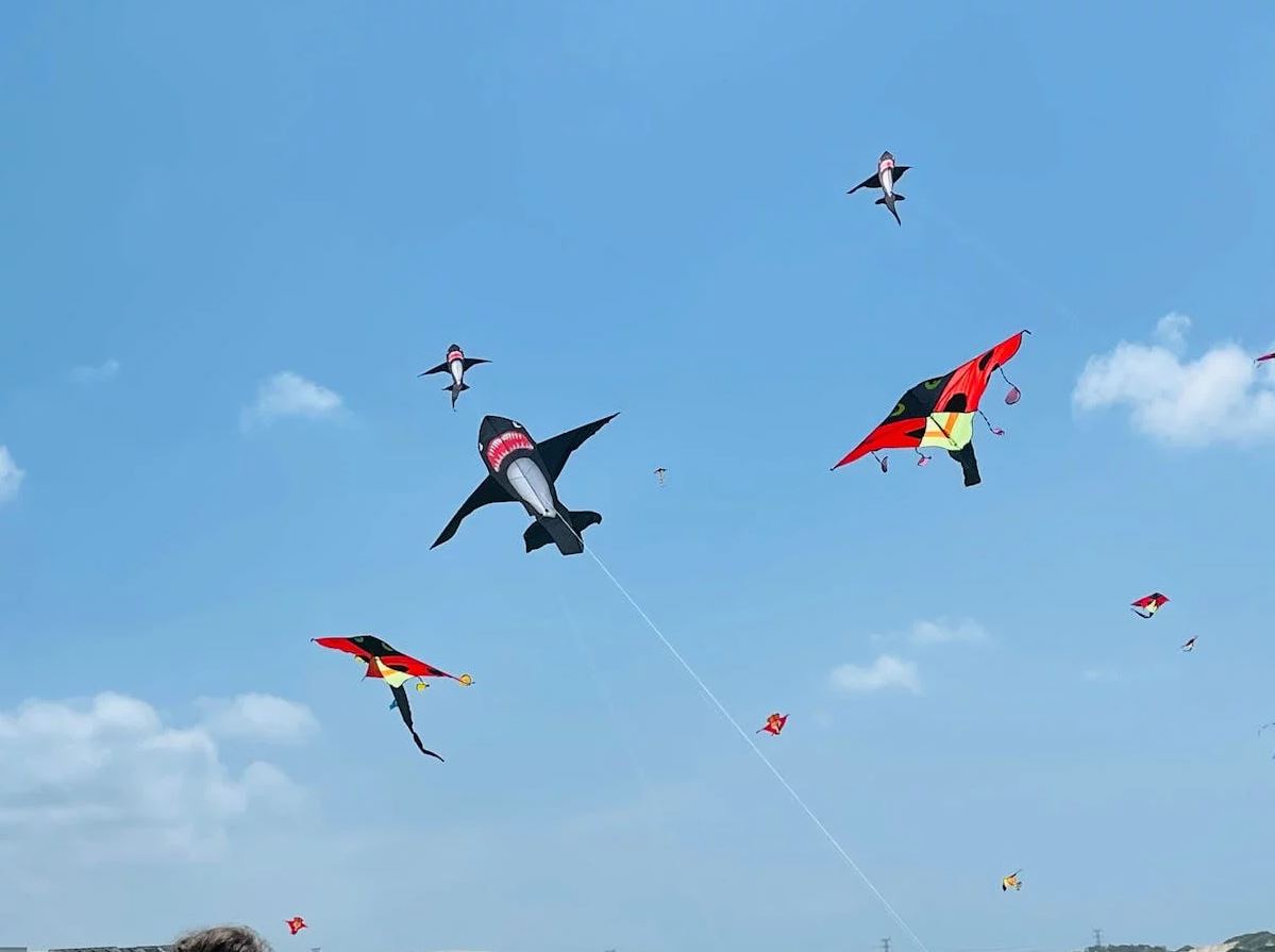 Kite-flying festival