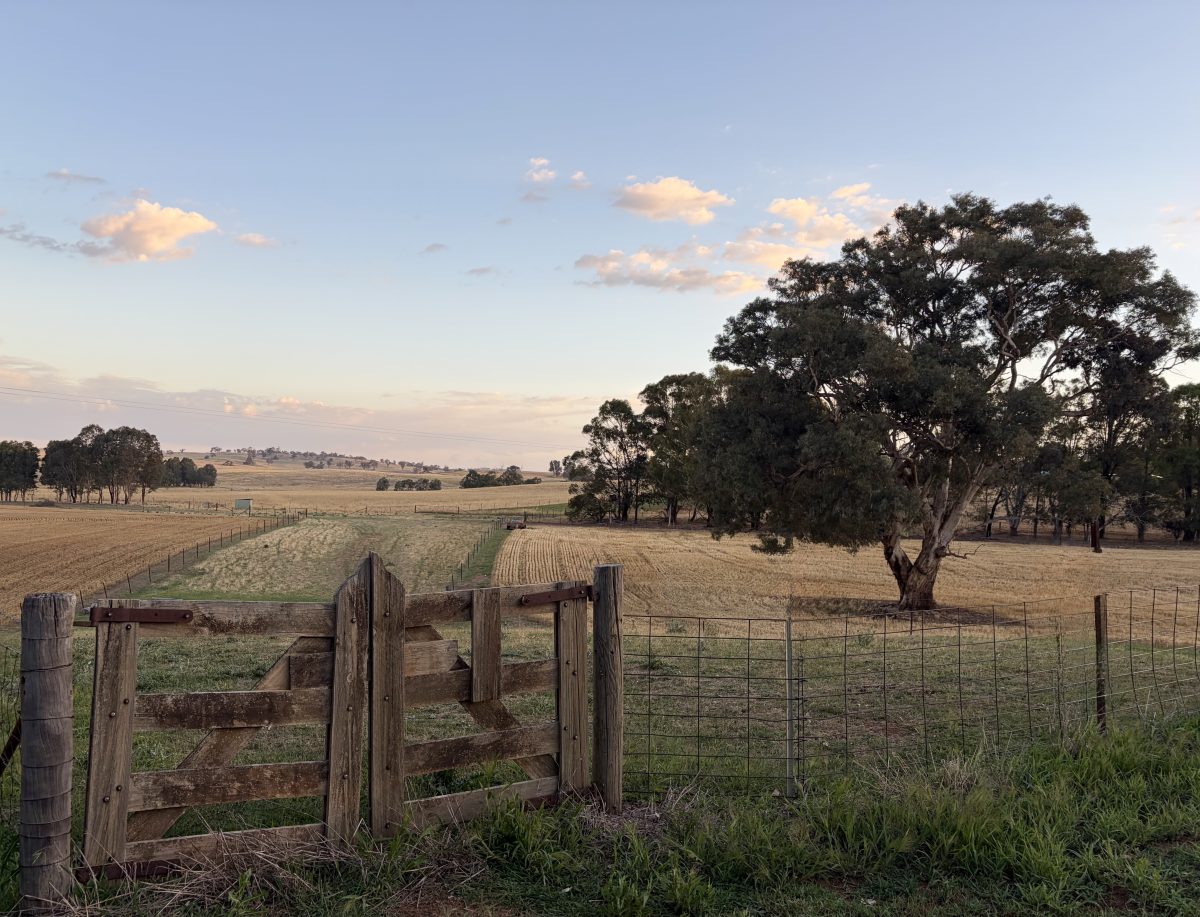 View of farm paddock