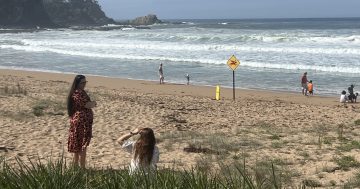 Two South Coast drownings mark horror start to year, lifesavers plead for beachgoers to know the signs