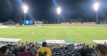 Review threatens pathway for ACT's junior cricketers dreaming of Australian honours