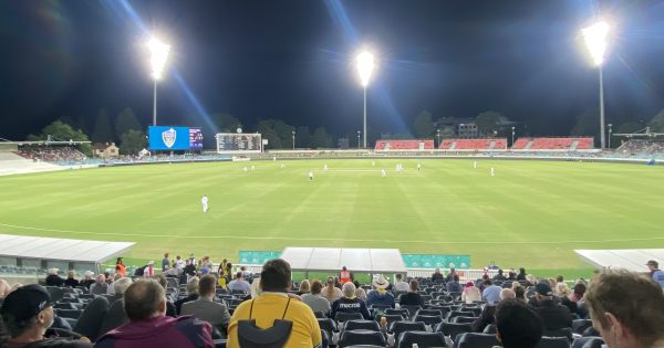 Politics and vested interests likely to deny Canberra a Big Bash franchise