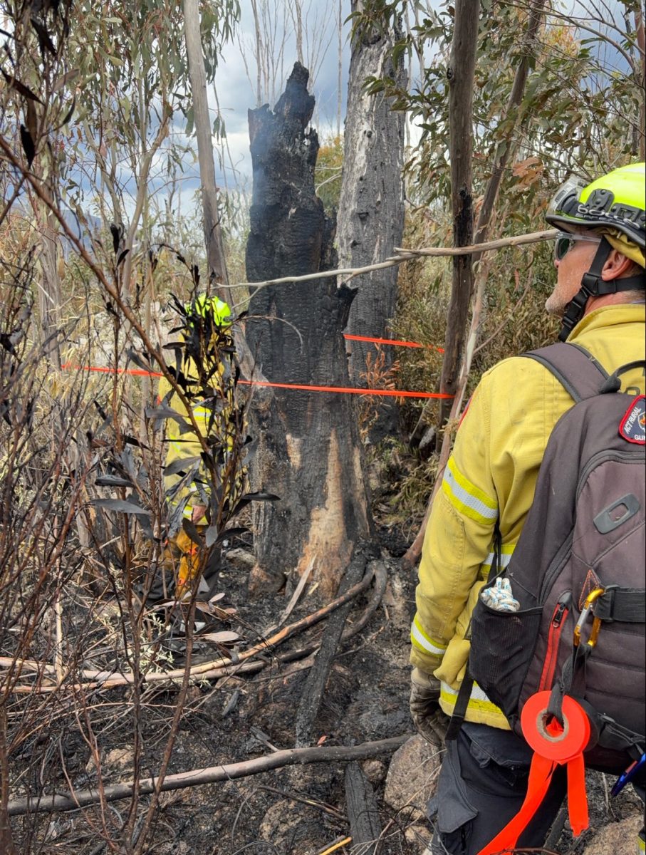 RFS crews on a fire ground