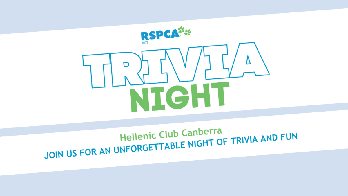 Trivia night event poster