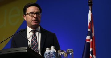 UPDATED: Littleproud says Coalition under Ley is 'untenable'