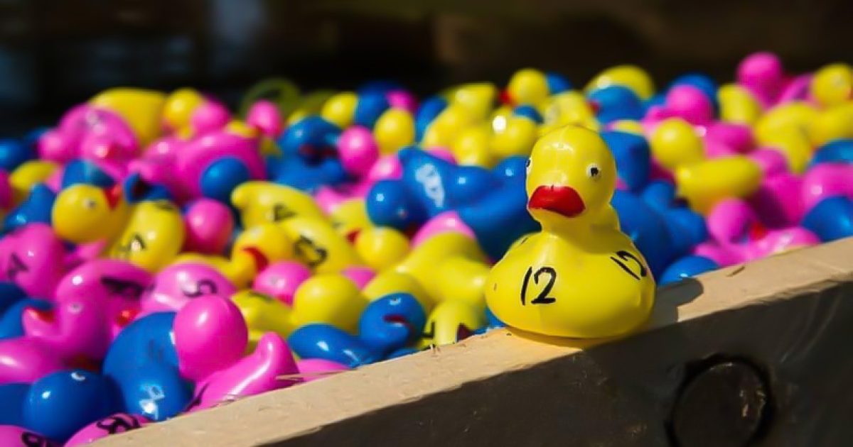 Award-winning Tumbafest returns to the Snowy Valleys | Region Canberra Award-winning Tumbafest returns to the Snowy Valleys | Region Canberra