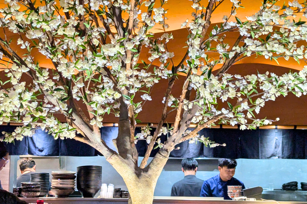 Looking into an open kitchen