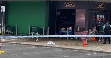 Four-year-old pedestrian killed in Mawson incident