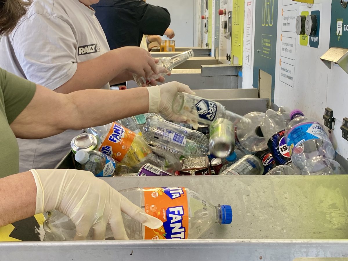 bottles to be recycled