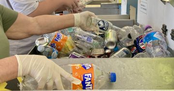 Wine and spirit bottles to join 10-cent recycling scheme, but not for at least a year