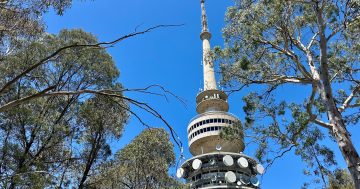 Ngunnawal elders claim Telstra is going over their heads with tower plans