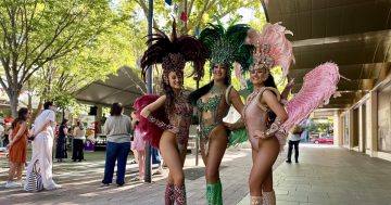 Light-rail construction not expected to get in the way of 'best Multicultural Festival yet'