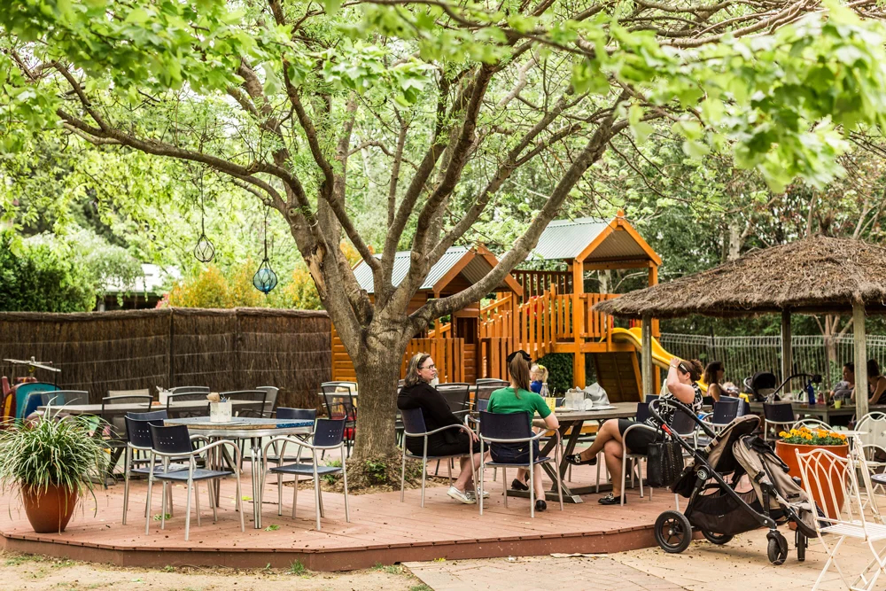 Courtyard of cafe with large, shady tree, tables and chairs with parents sitting and a childrens cubby house play area.