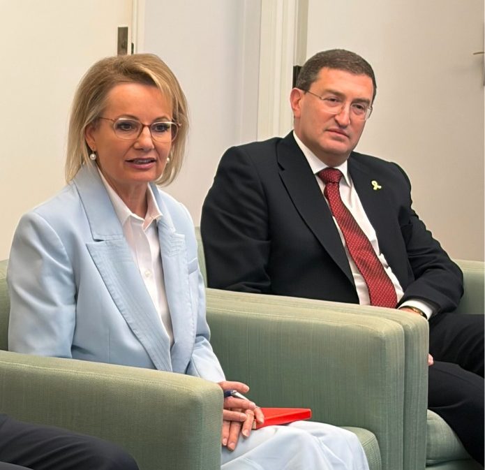 Sussan Ley and Julian Leeser