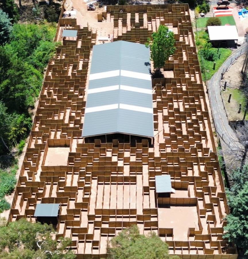 aerial view of wooden maze