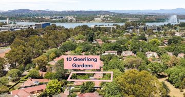 Auction results 2 - 8 February 2026