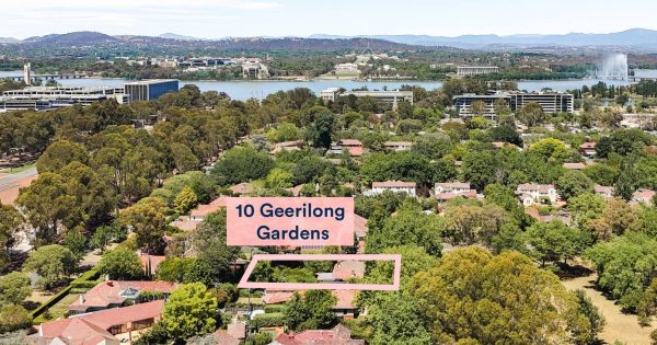 Auction results 2 - 8 February 2026