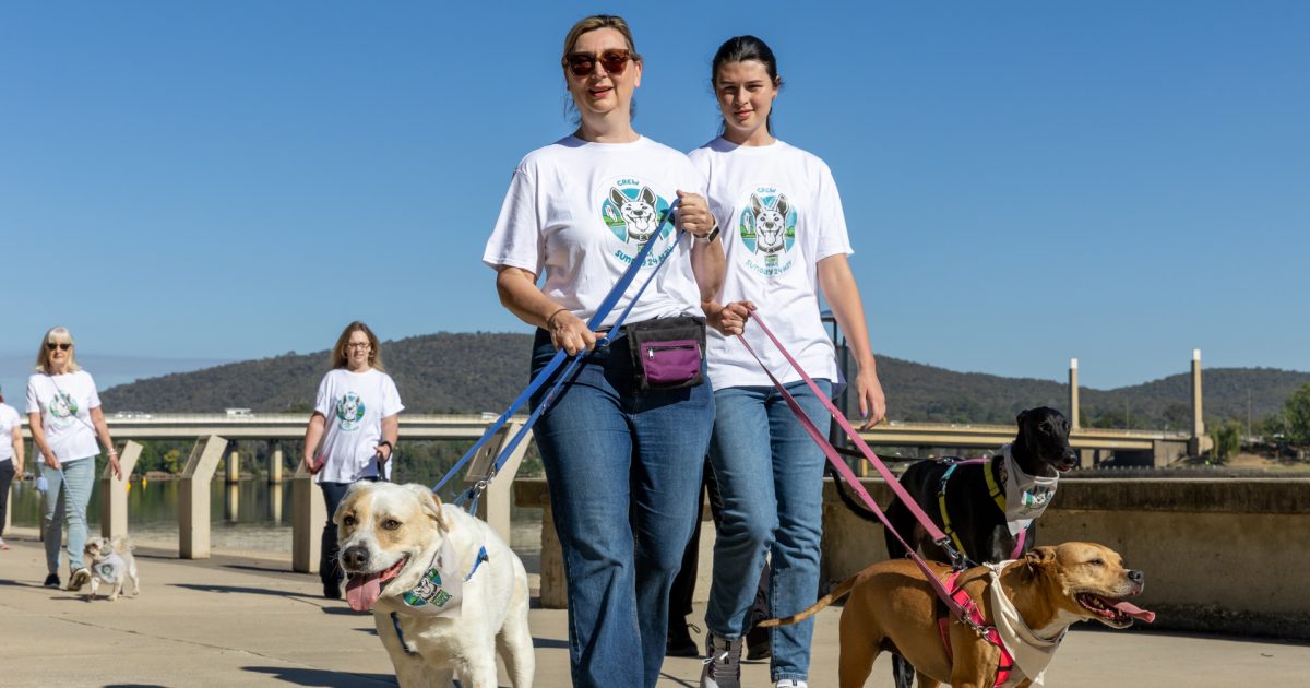 The biggest ‘walkie’ in Canberra is coming up – on a new date | Region Canberra