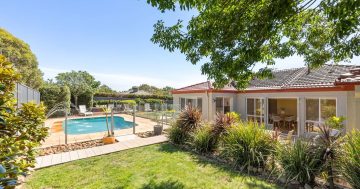 Auction results 26 January - 1 February 2026