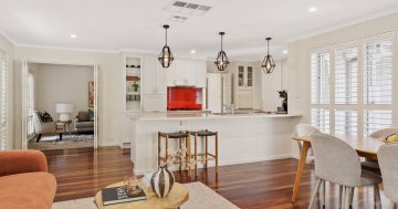 Auction results 16 - 22 February 2026