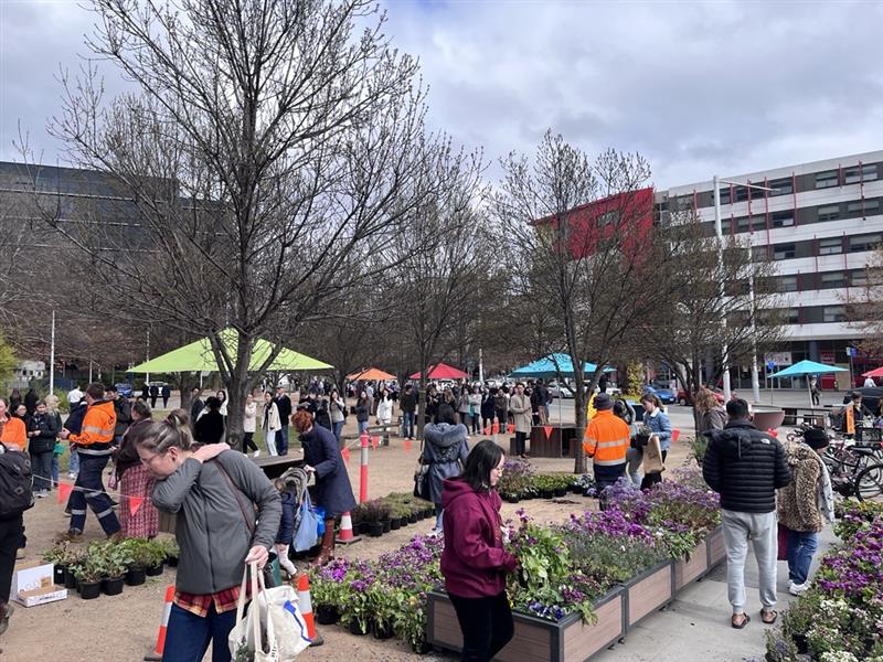 Free Plant Giveaway city renewal canberra 