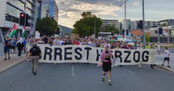 Isaac Herzog's Canberra visit will be met by pro-Palestine protest, large police response