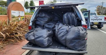 Police seize alleged drugs worth a combined $1.5 million in roadside stops